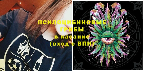 МДПВ Алексин