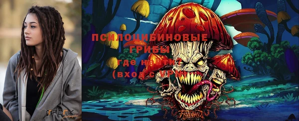 круглые Алзамай