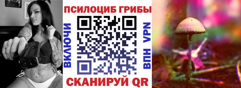 магазин продажи Суздаль это официальный сайт Псилоцибиновые грибы ЛСД